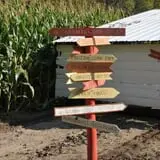 Nelson Farm Pumpkin Patch Festival photo