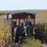 Nelson Farm Pumpkin Patch Festival photo