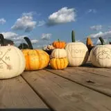 Solsma's Punkin Patch and Corn Maze photo