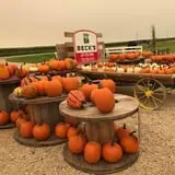 Solsma's Punkin Patch and Corn Maze photo
