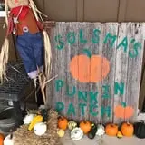 Solsma's Punkin Patch and Corn Maze photo