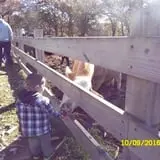 Triple S Farm photo