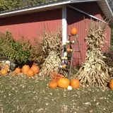 Triple S Farm photo