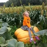 Triple S Farm photo