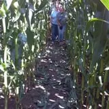 Triple S Farm photo