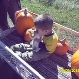 Triple S Farm photo