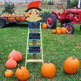 Triple S Farm photo