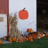 Triple S Farm photo