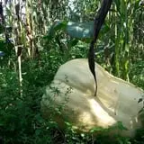 Triple S Farm photo