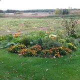 Triple S Farm photo