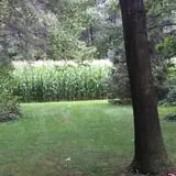 Triple S Farm photo