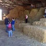 Triple S Farm photo
