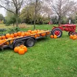 Triple S Farm photo