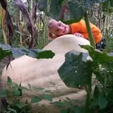 Triple S Farm photo