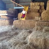 Triple S Farm photo