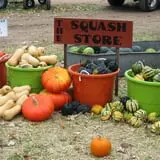 Triple S Farm photo