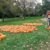 Triple S Farm photo