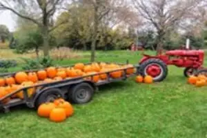 Triple S Farm