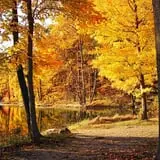 Shades of Death Road photo