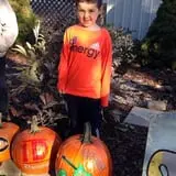 Selmi's Greenhouse and Farm Market photo