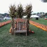 Selmi's Greenhouse and Farm Market photo