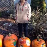 Selmi's Greenhouse and Farm Market photo