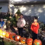 Selmi's Greenhouse and Farm Market photo