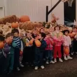 Selmi's Greenhouse and Farm Market photo
