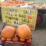 Selmi's Greenhouse and Farm Market photo