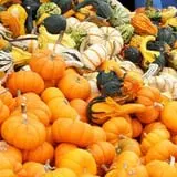 Selmi's Greenhouse and Farm Market photo