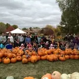 Selmi's Greenhouse and Farm Market photo