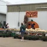 Selmi's Greenhouse and Farm Market photo