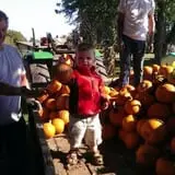 Selmi's Greenhouse and Farm Market photo