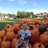 Selmi's Greenhouse and Farm Market photo