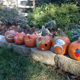 Selmi's Greenhouse and Farm Market photo