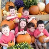 Selmi's Greenhouse and Farm Market photo
