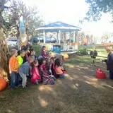Selmi's Greenhouse and Farm Market photo