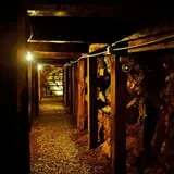 Reed Gold Mine photo