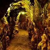 Reed Gold Mine photo