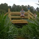 Little Cane Creek Farm & Corn Maze photo