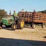 Little Cane Creek Farm & Corn Maze photo