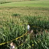 Little Cane Creek Farm & Corn Maze photo