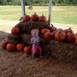 Little Cane Creek Farm & Corn Maze photo