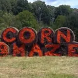Little Cane Creek Farm & Corn Maze photo
