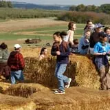 Little Cane Creek Farm & Corn Maze photo