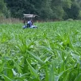 Little Cane Creek Farm & Corn Maze photo