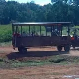 Little Cane Creek Farm & Corn Maze photo