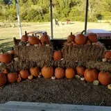 Little Cane Creek Farm & Corn Maze photo
