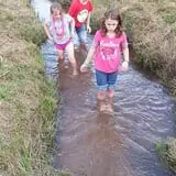 Little Cane Creek Farm & Corn Maze photo