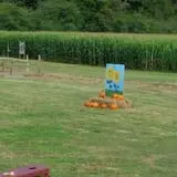 Little Cane Creek Farm & Corn Maze photo
